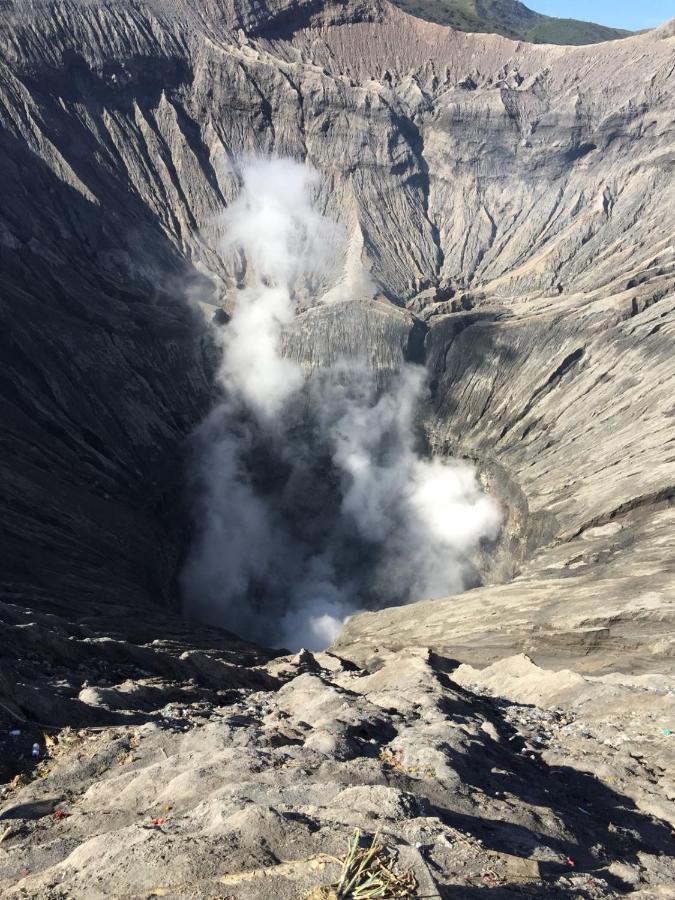 Bromo Tanjung * Tosari