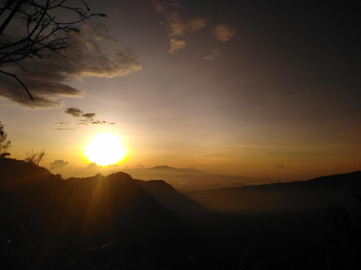 Bromo Tanjung * Tosari