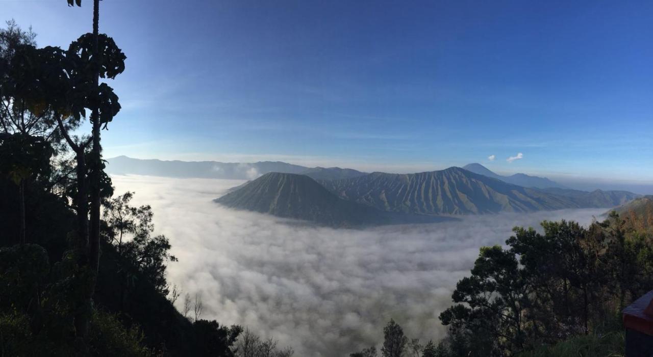 Bromo Tanjung Homestay *