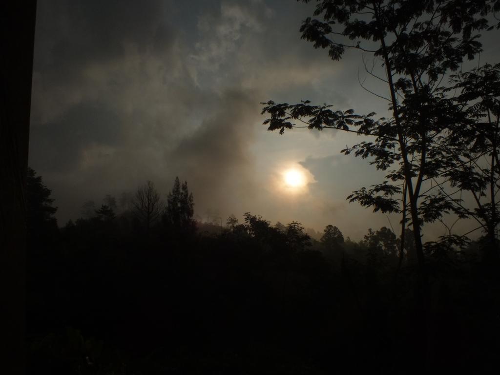 Bromo Tanjung Homestay *