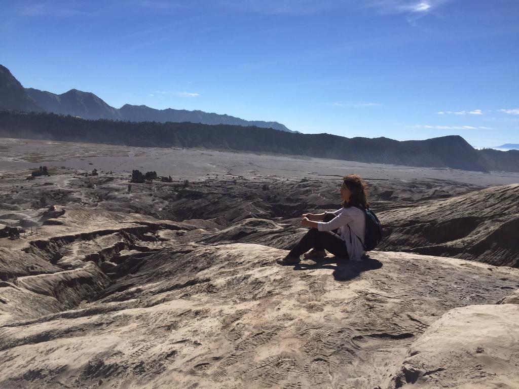 Bromo Tanjung Homestay Tosari