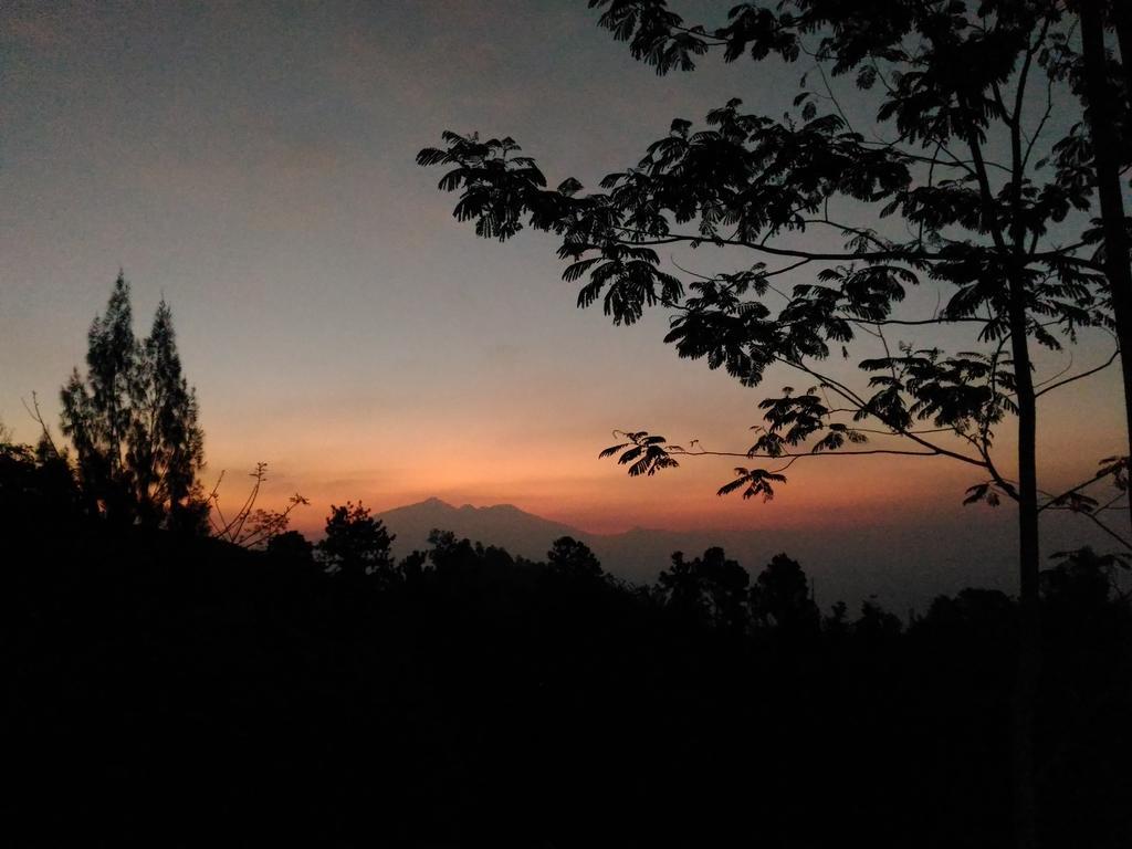 Bromo Tanjung Homestay Tosari