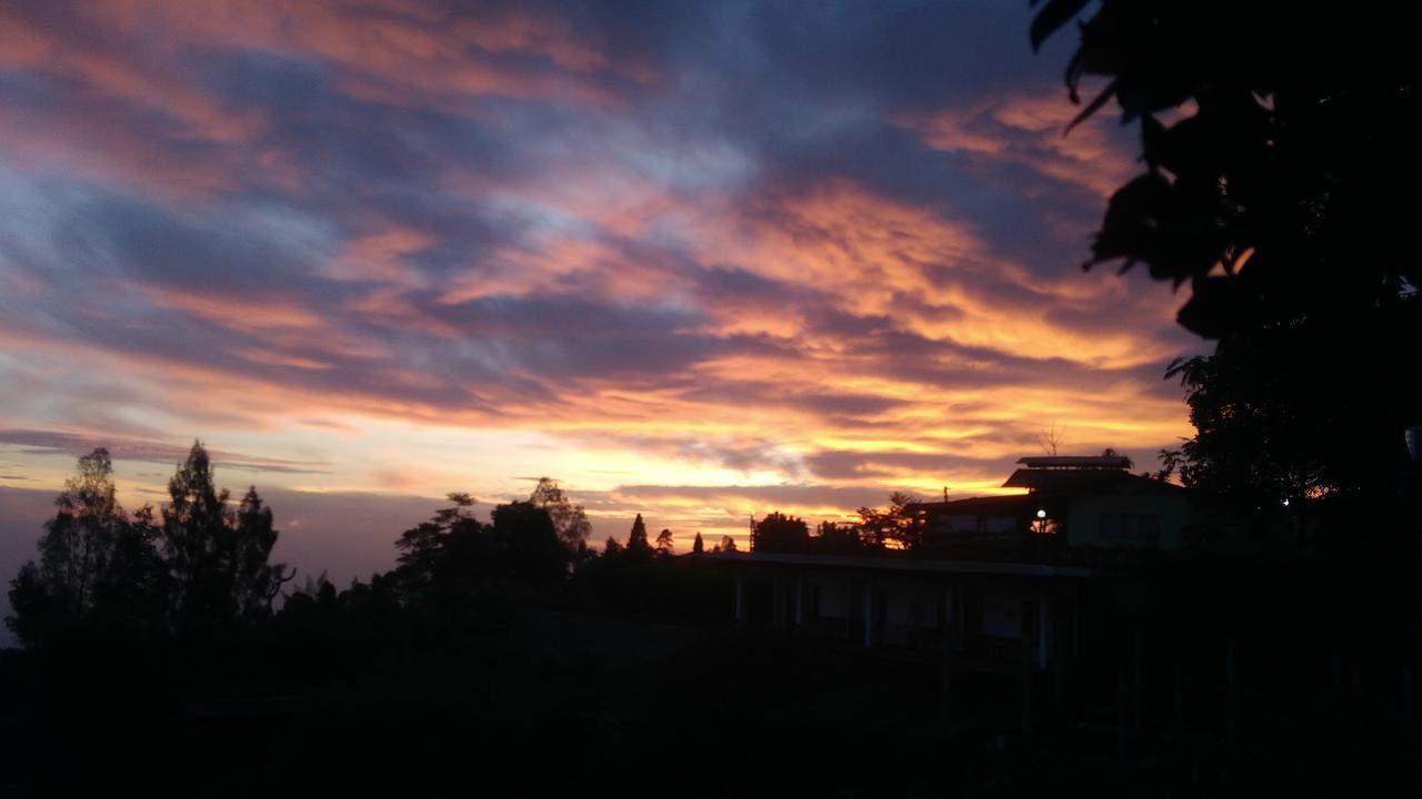 Homestay Bromo Tanjung *