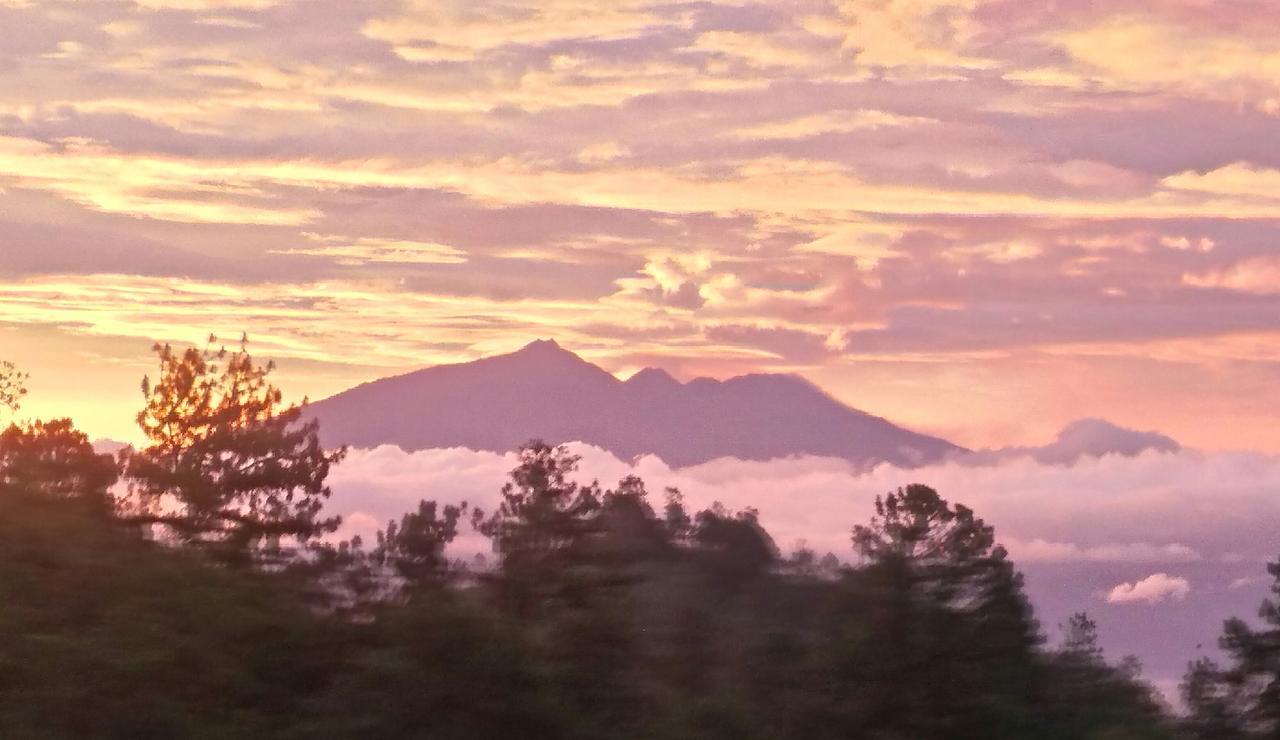 Bromo Tanjung *