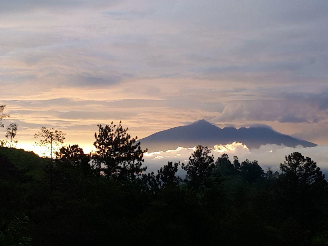 Bromo Tanjung Homestay *