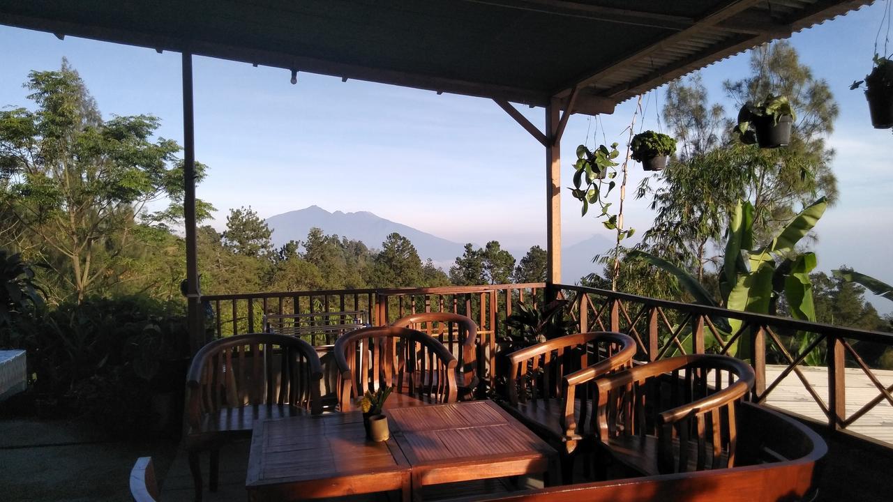 Homestay Bromo Tanjung *