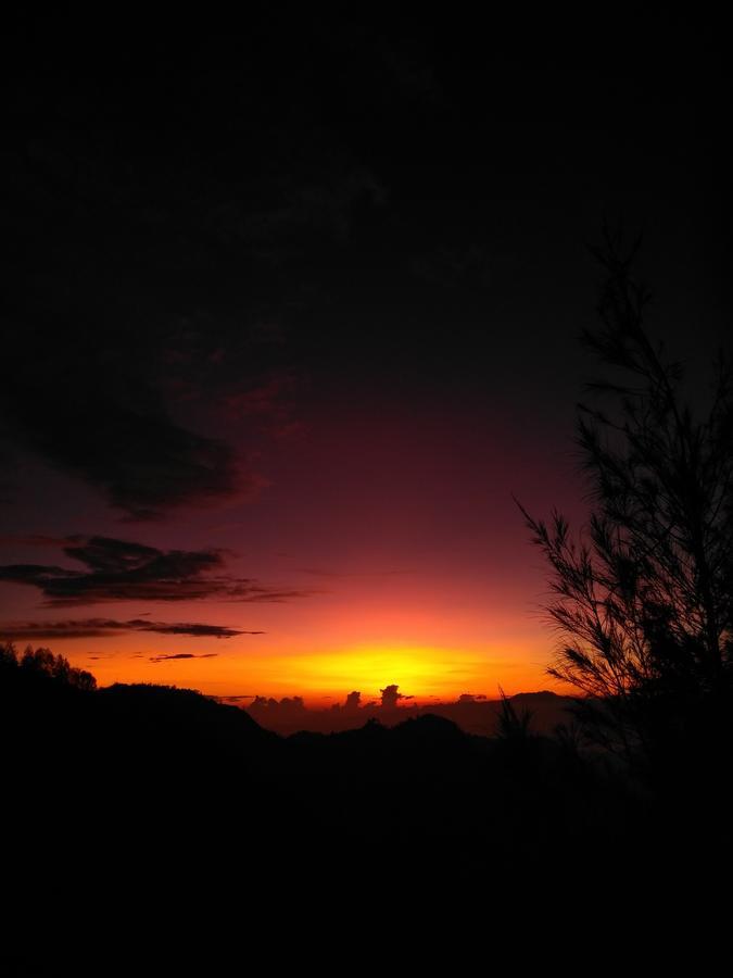 Bromo Tanjung Homestay